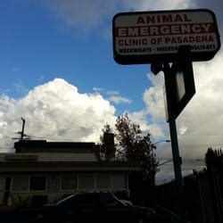 animal am emergency clinic pasadena|emergency vet in pasadena ca.